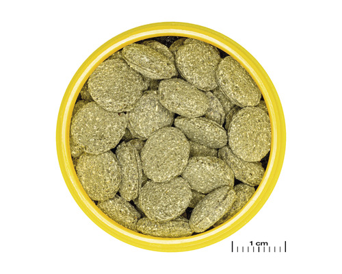 JBL PRONOVO PLECO WAFER voedingstabletten, maat M, 100 ml