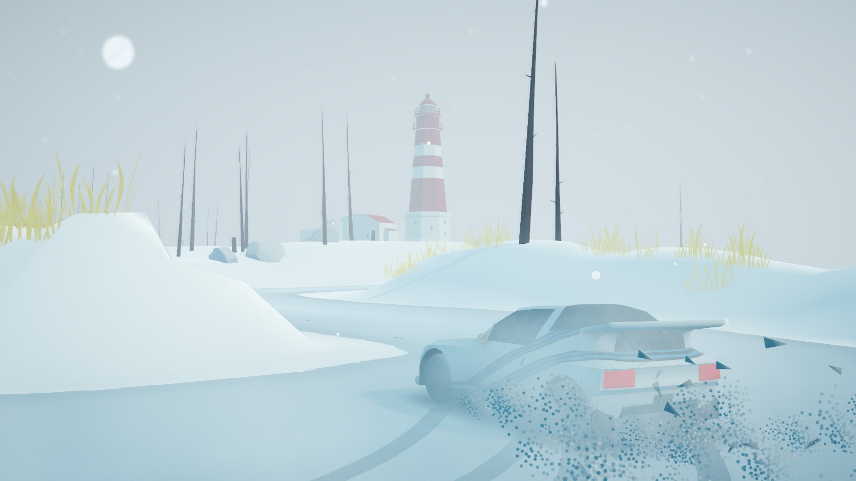 art of rally- PC