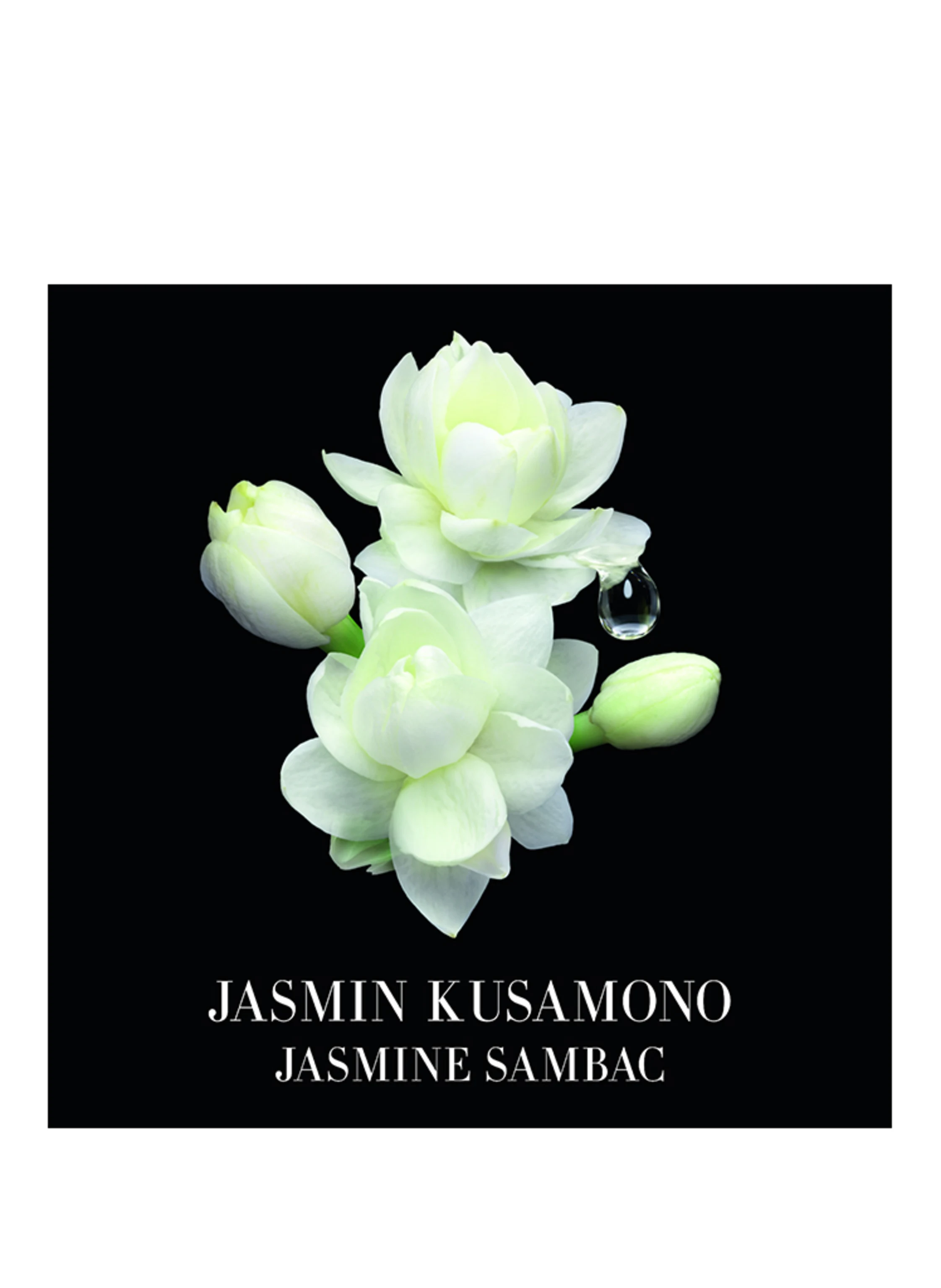 ARMANI PRIVÉ JASMIN KUSAMONO