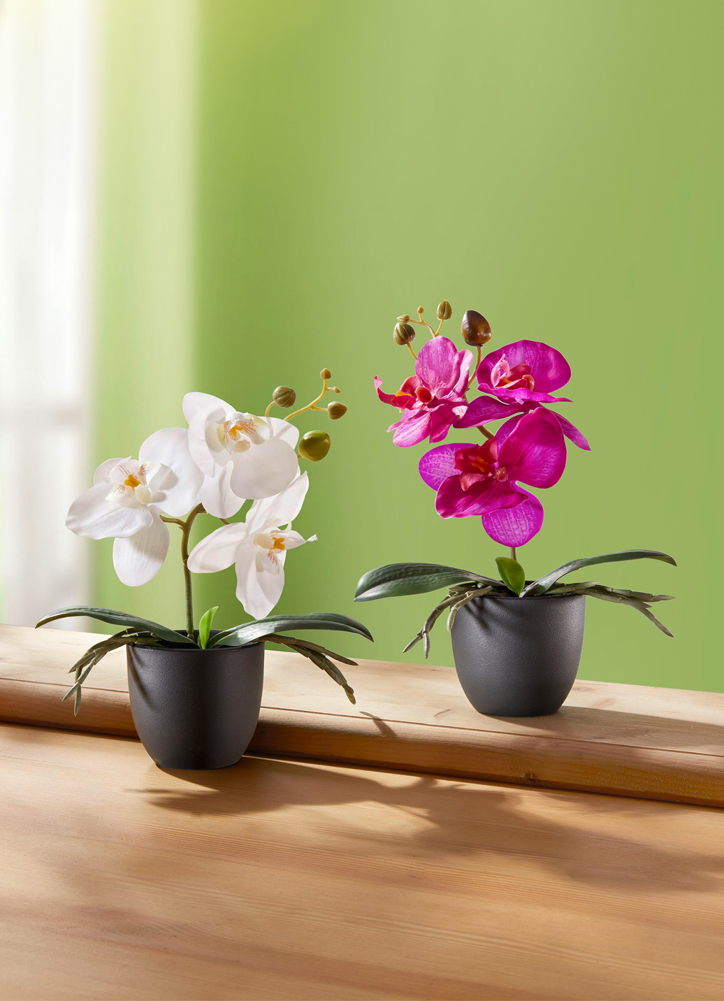 Zauberhafte Orchideen, 2er-Set