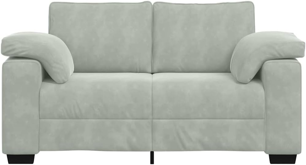 vidaXL Zweisitzer-Sofa Hellgrau 120 cm Samt, 2-Sitzer-Sofa, Couch, Wohnzimmer-Sitzmöbel, Sofa, gepolstertes Sofa