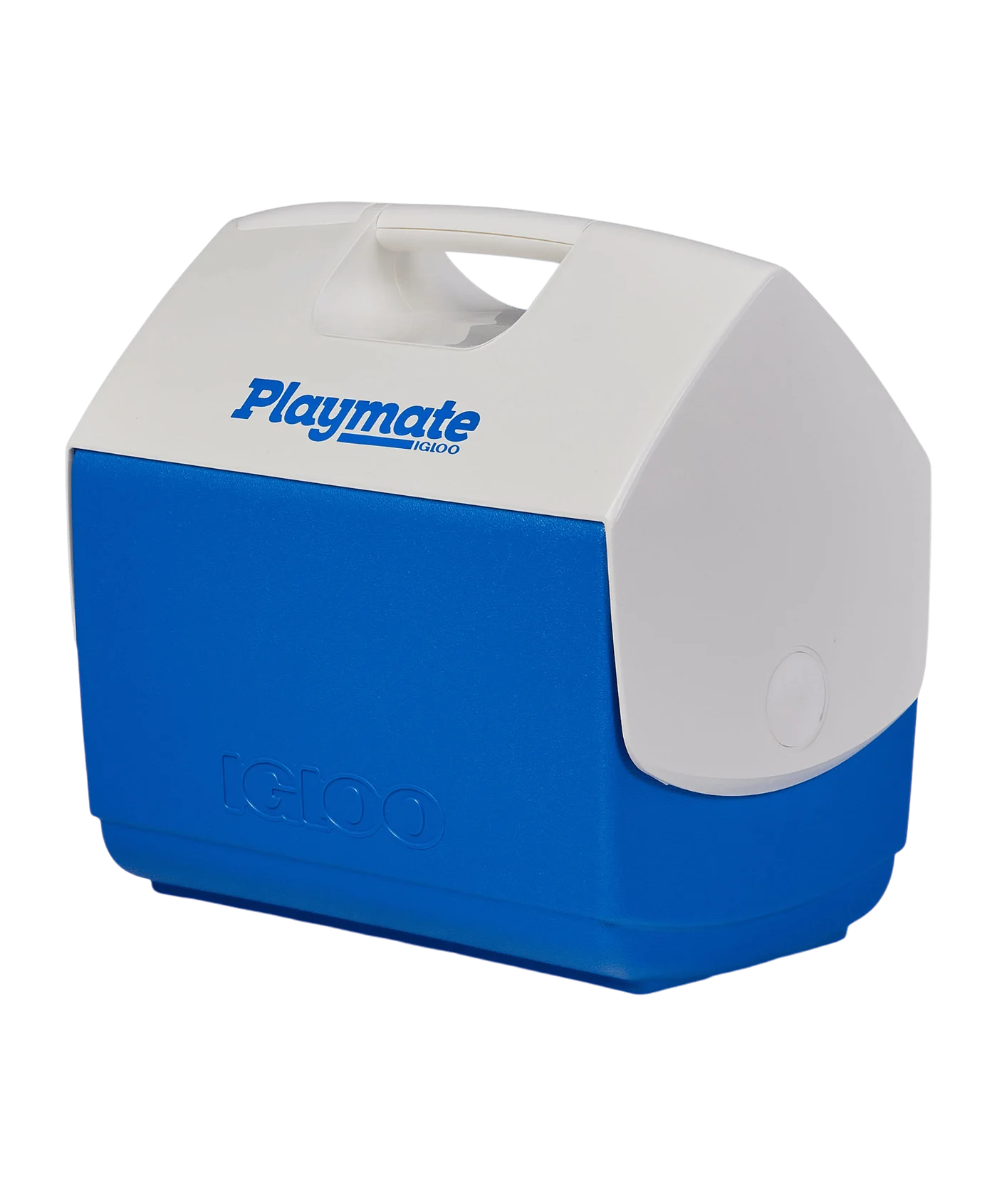 Igloo Playmate Elite 15L 30 Dosen Kühlbox Accessoire Blau