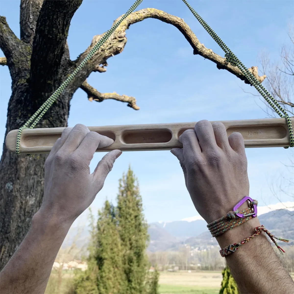 Y&Y La baguette Wood