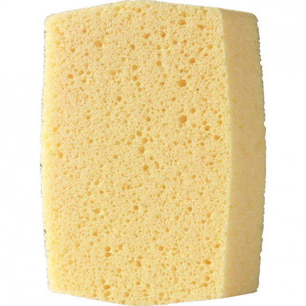 Blokker huishoudspons
