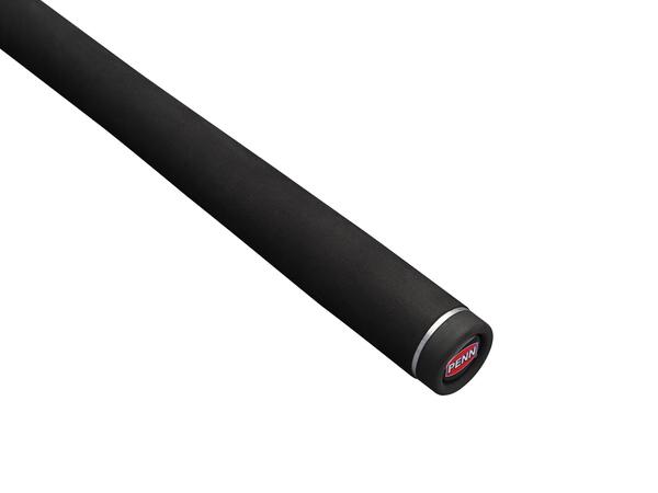 Ensemble canne et moulinet Penn Pursuit V Spinning Pêche en mer