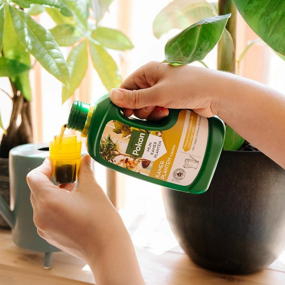 Pokon Plantenvoeding Kamerplanten500 ml