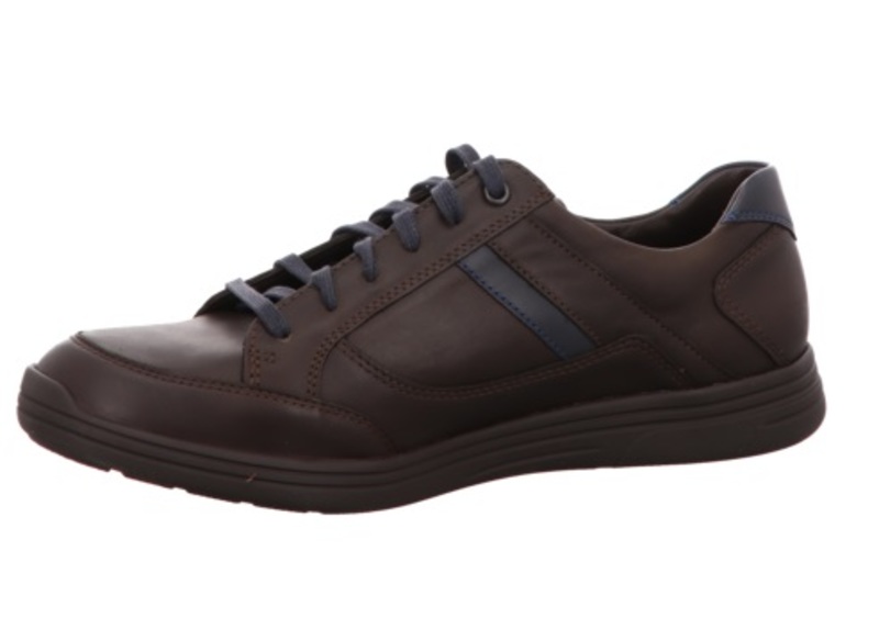 Mephisto Frank Bruin