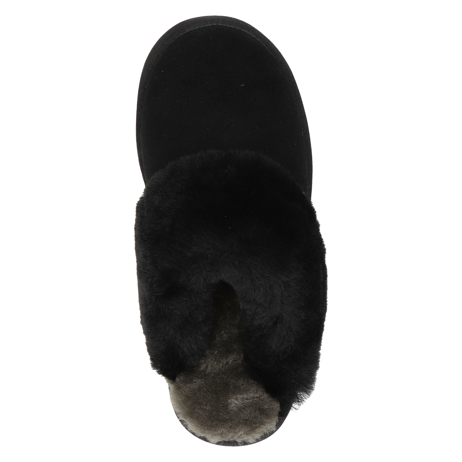 Flurry Plateau dames pantoffel Warmbat Australia Zwart