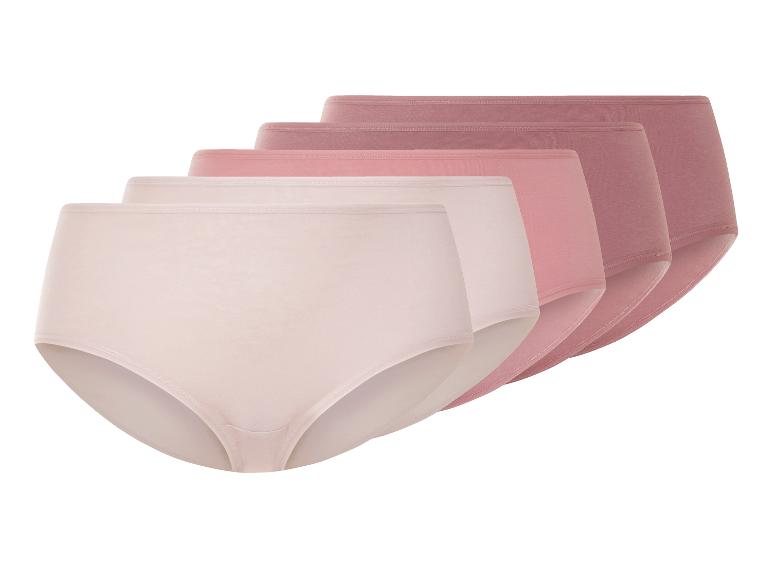 5 dames slips