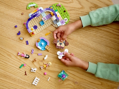 LEGO Hondendagopvang (41691)