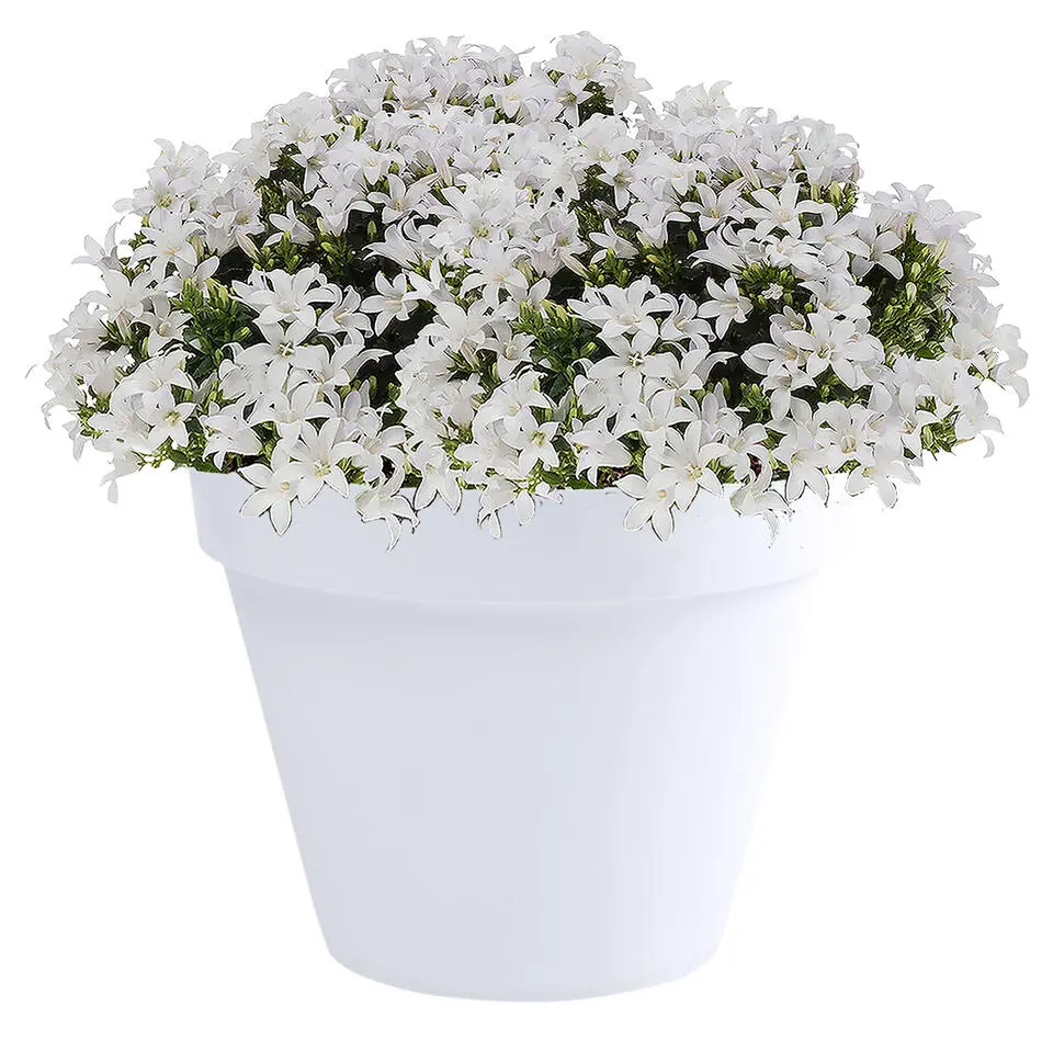 EDA Toscane Bloempot - kunststof - wit - D30 x H26 cm