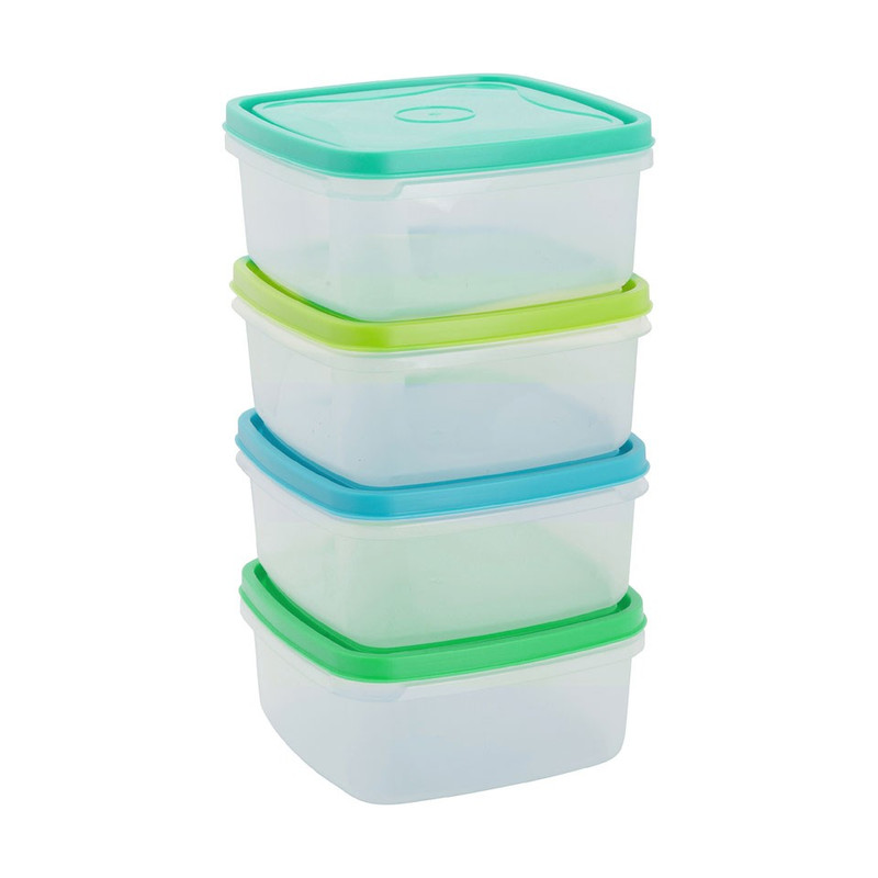 Vershoudbakjes van plastic - 250 ml - set van 4
