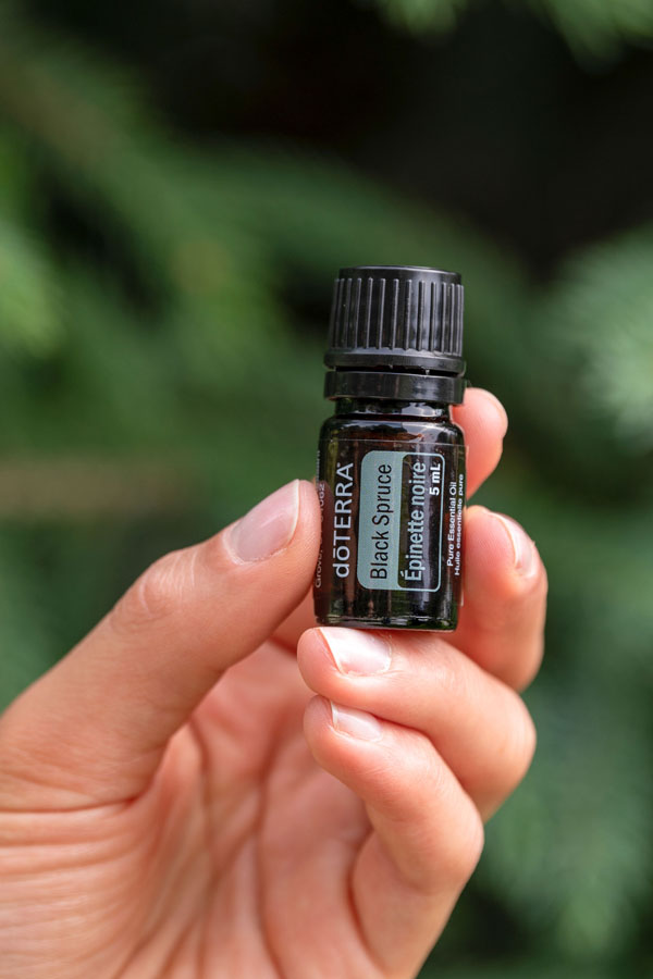 Huiles d'epinette noire   Picea Mariana
