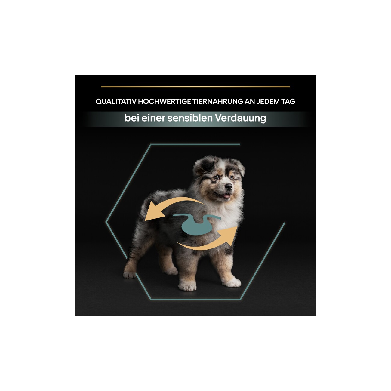 PRO PLAN Puppy Medium Sensitive Digestion Lamm 12 kg
