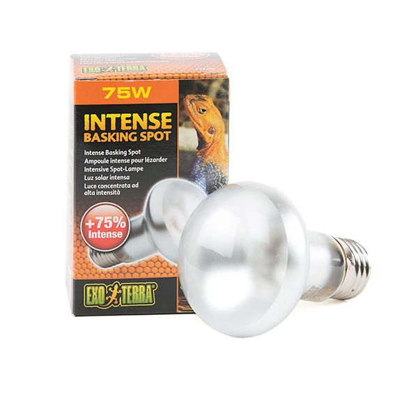 Exo Terra Lâmpada Luz Solar Intense Basking Spot 75W - PT2136