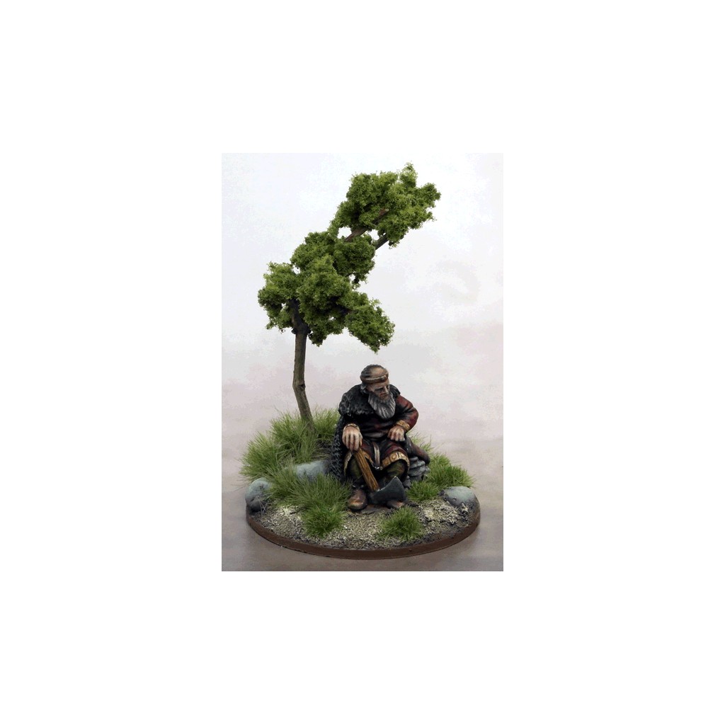 Saga - Brian Boru