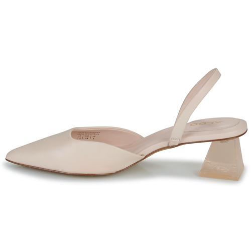 Aldo - MALAGA - Rose