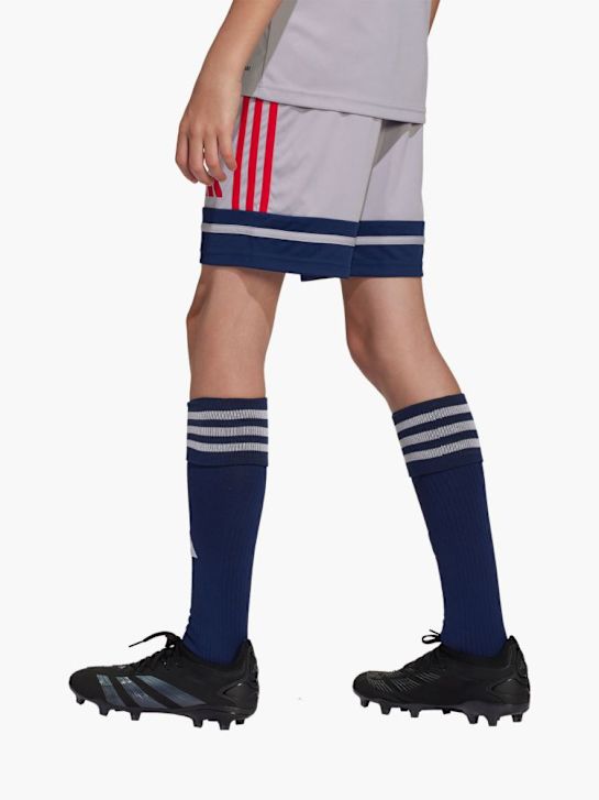 adidas Shorts Hellgrau