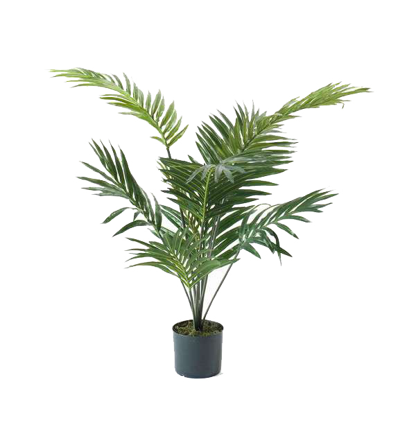 Palm Paradise 90 cm