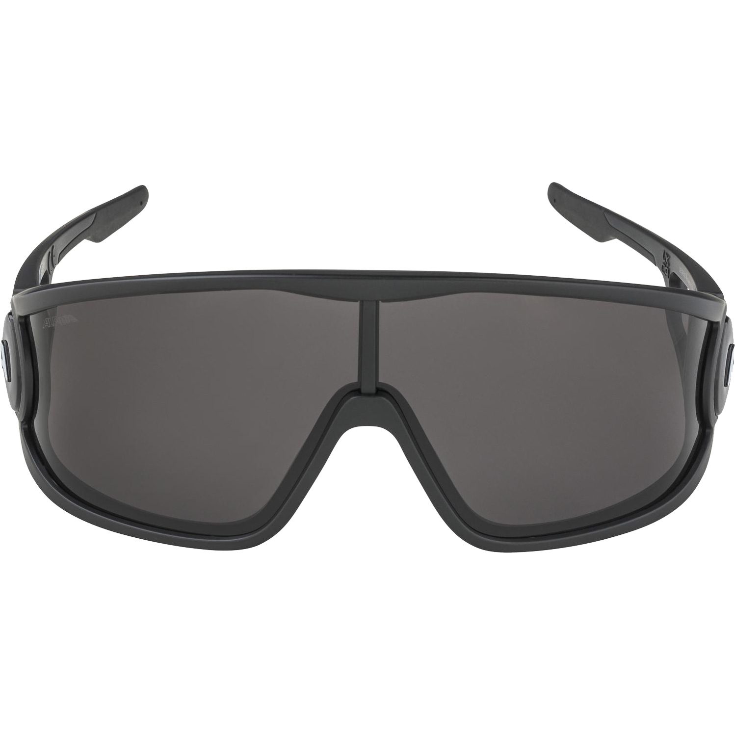 Alpina Legend Sonnenbrille mattschwarz