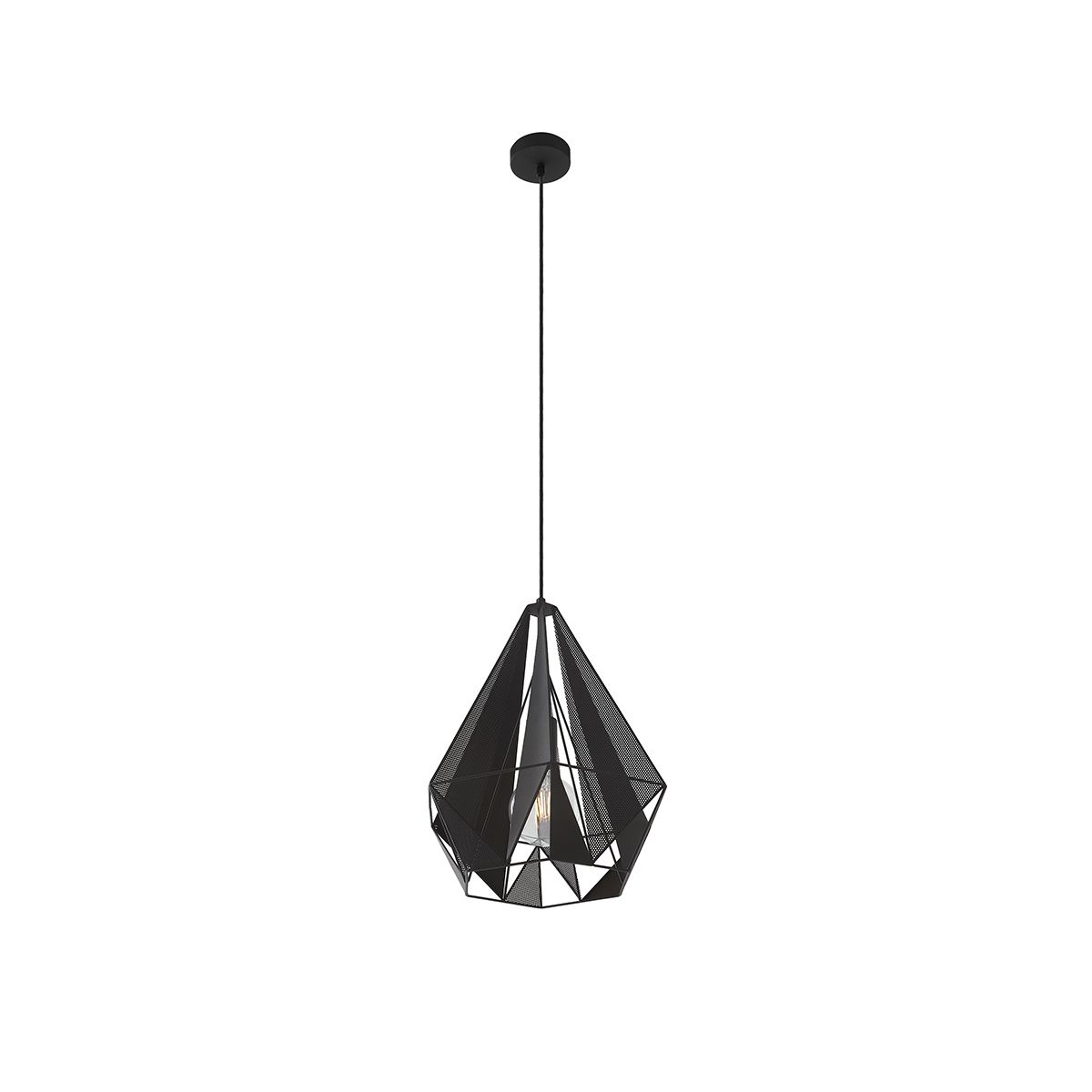 Industriële hanglamp zwart met mesh - Carcass