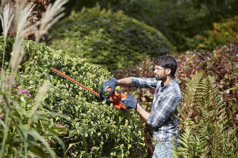 BLACK+DECKER 420W Heggenschaar - 45cm - Ergonomisch Ontwerp - Transparante Beschermkap