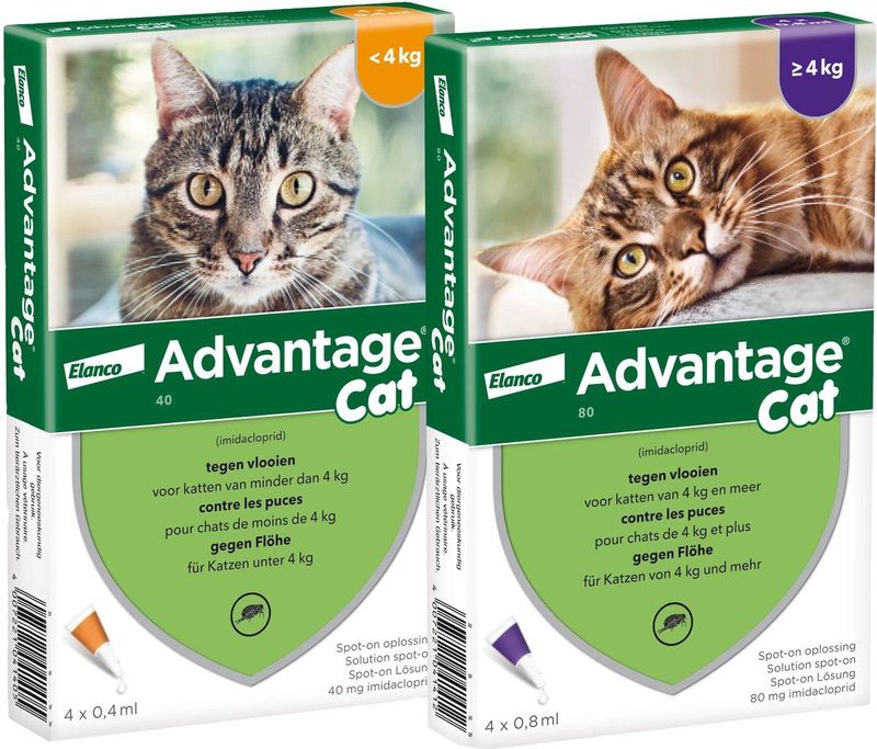 Advantage 80 Vlooiendruppels Kat - Vanaf 4 kg - 4 Pipetten