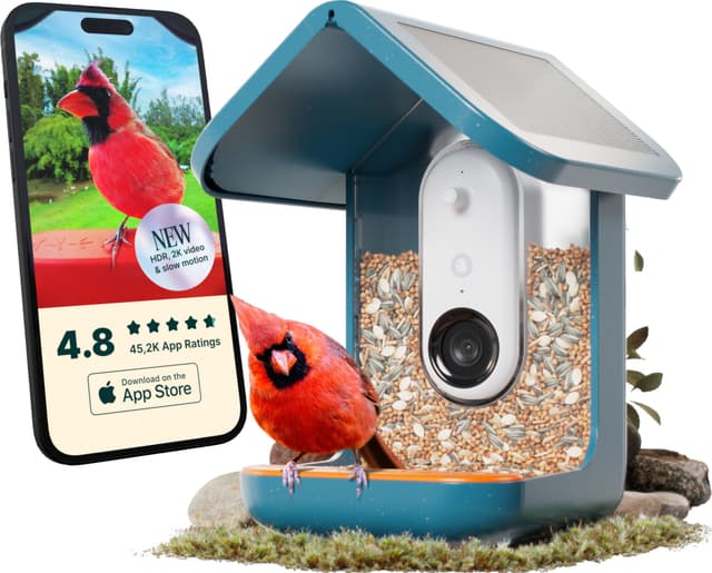 Bird Buddy solcelledrevet fuglefoderautomat med kamera (blå)