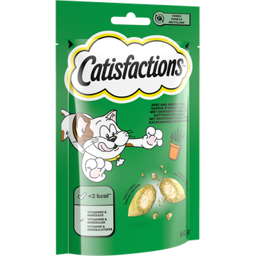 Catisfactions met Onweerstaanbare Kattenkruidsmaak 60 g