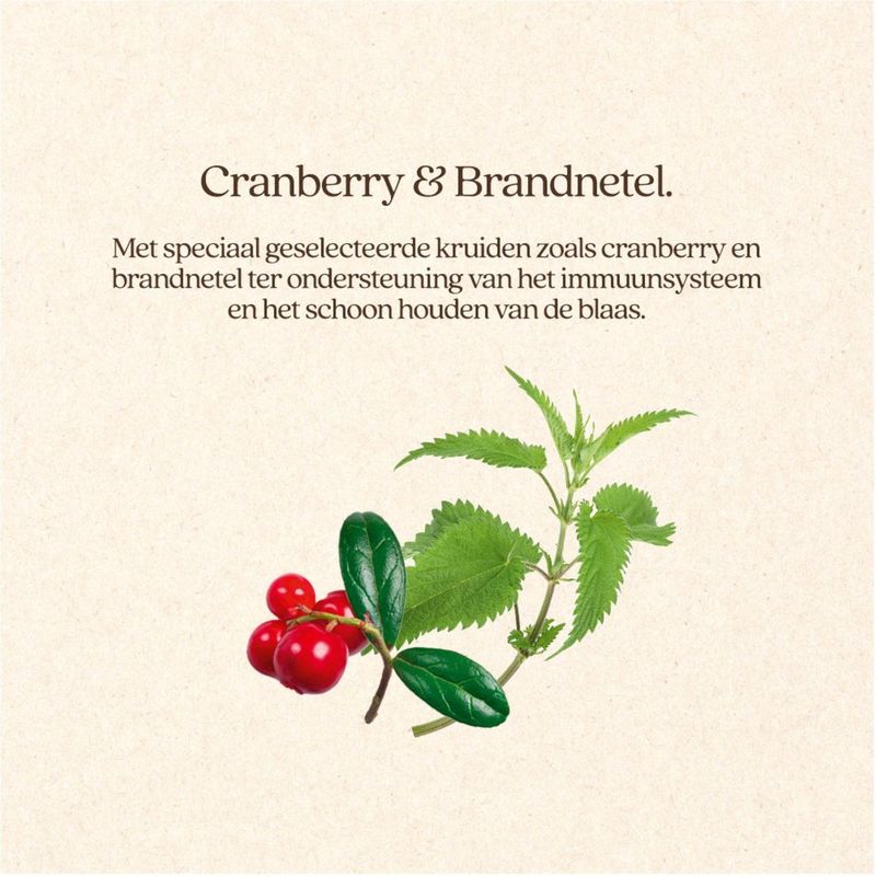 VITALstyle - Blaasgruis - Dieetvoeding - Kat - Urineverzurende Werking