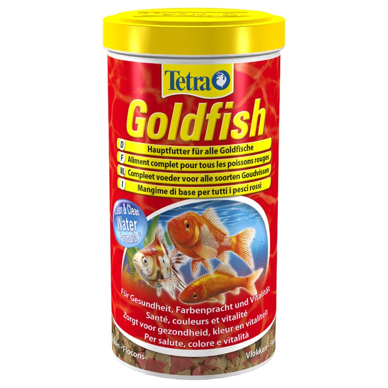 Tetra Goldfish