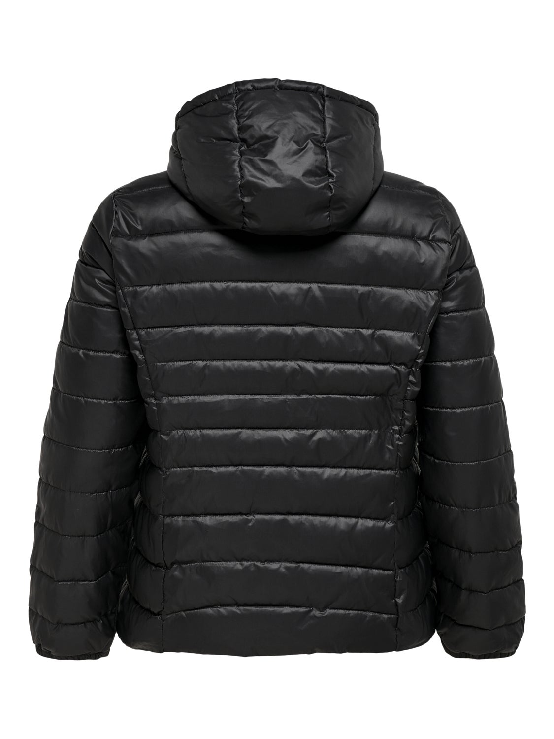 CARTAHOE Steppjacke Black