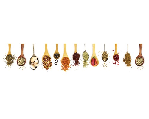 Keukenachterwand mySpotti Splash Oriental Spices 2800 x 600 mm SP-F2-1259