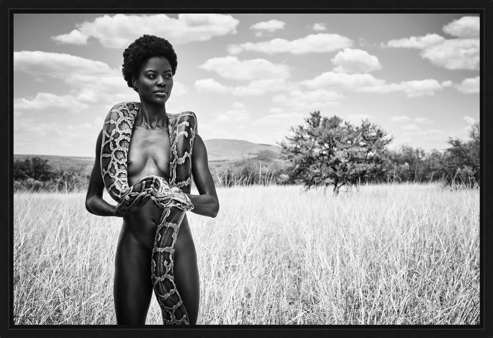 Snake in the Grass by Paul Giggle - Limited Edition. Edition of: 150. Signed.