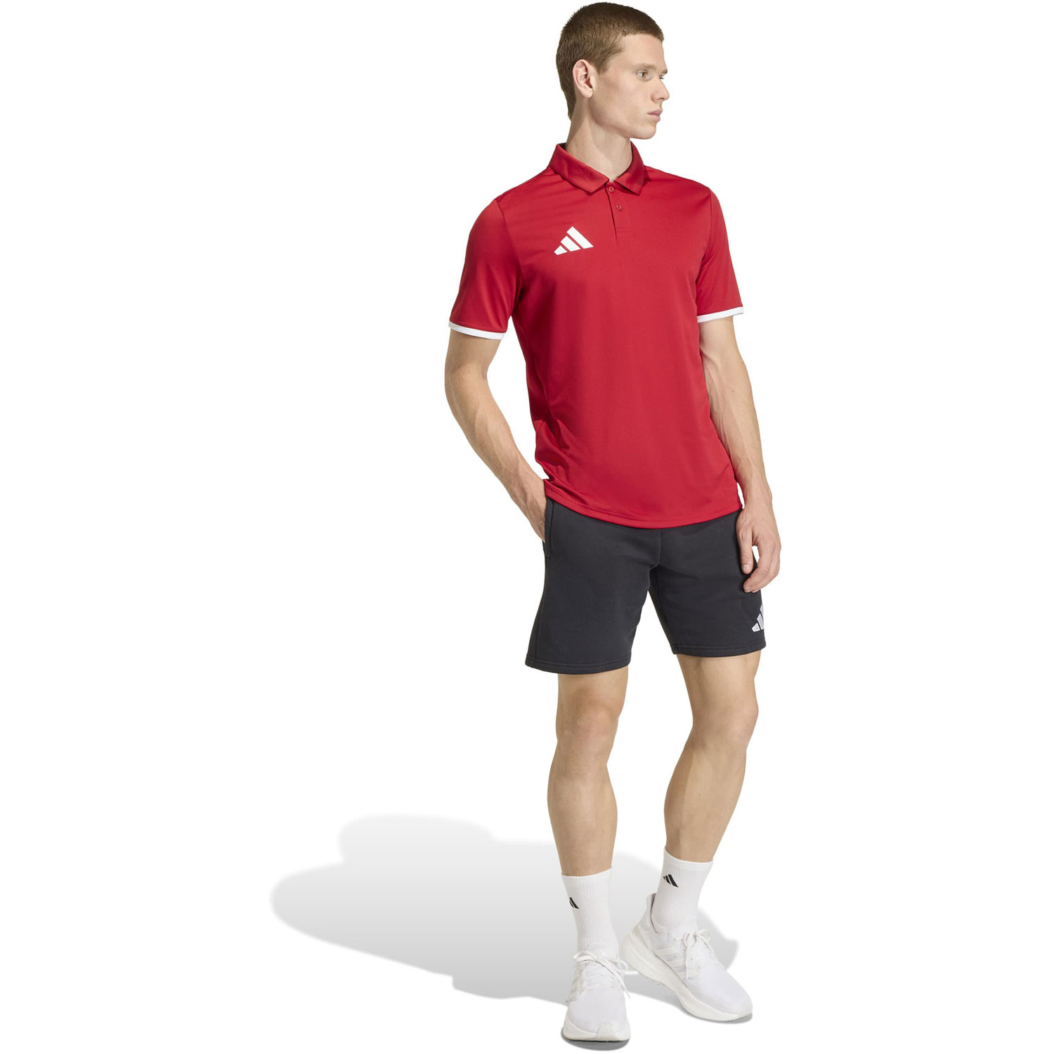 adidas Entrada 26 Polo