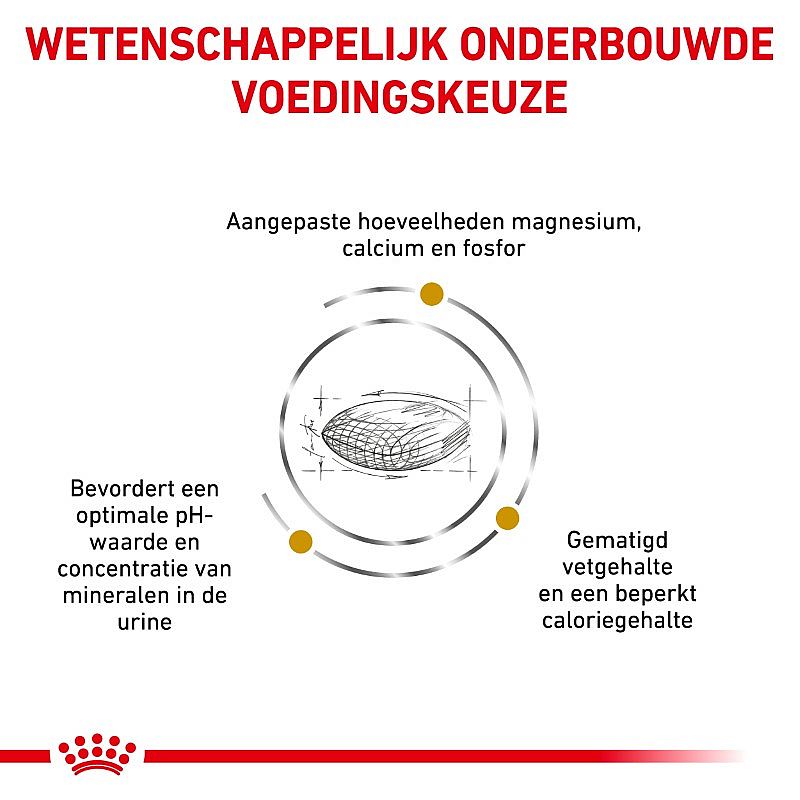 Royal Canin Urinary SO Moderate Calorie Hond Dieetvoeding ter ondersteuning van de urinewegen bij honden met neiging tot overgewicht of na castratie/ sterilisatie