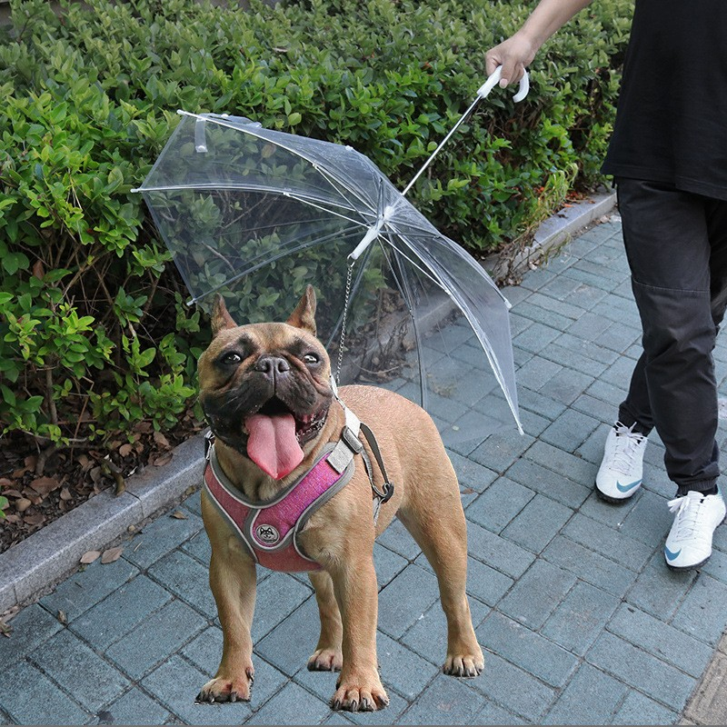 (Ø68cm) Hunde Regenschirm Haustier Outdoor Schirm Leine Regen Schutz - Transparent