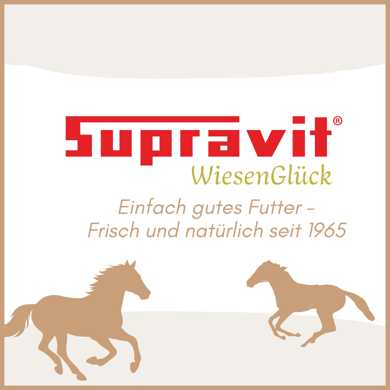 Supravit Grascobs für Pferde 20kg | natürliche Graspellets als Heuersatz | Wiesencobs für Pferde mit hohem Energiegehalt | Pferdefutter Heucobs aus frischem Gras