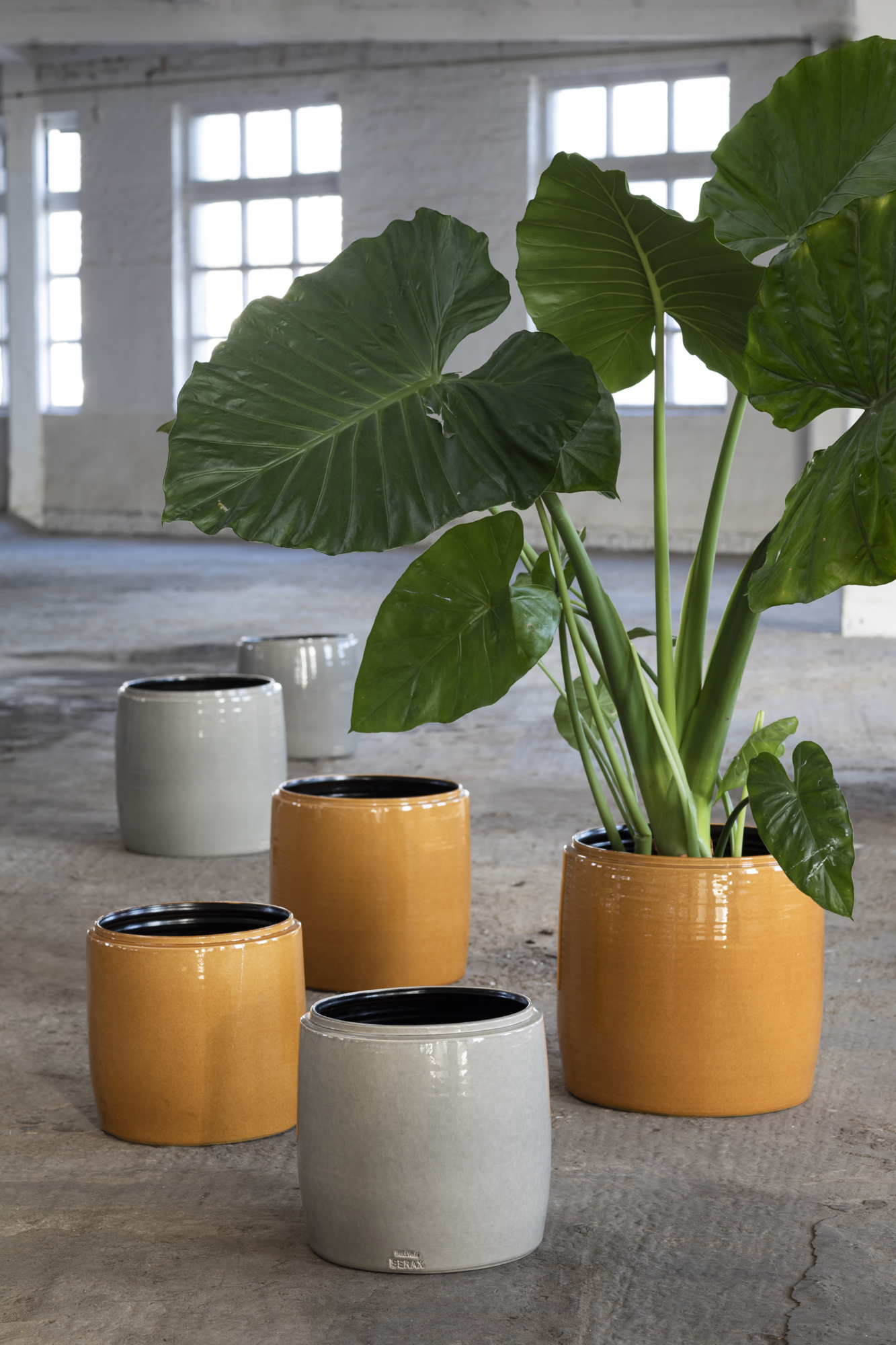 Bloempot M honey