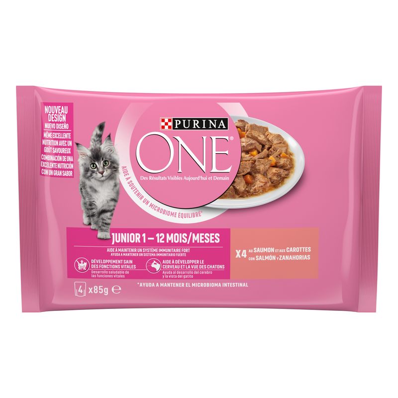 PURINA ONE Junior, saumon & carottes
