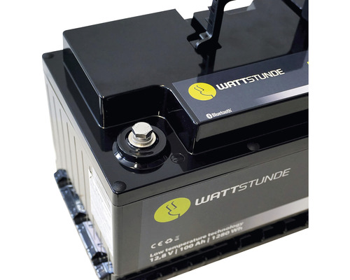 WATTSTUNDE Lithium 100Ah LiFePO4 accu LIX100D-LT (DIN) met Bluetooth interface