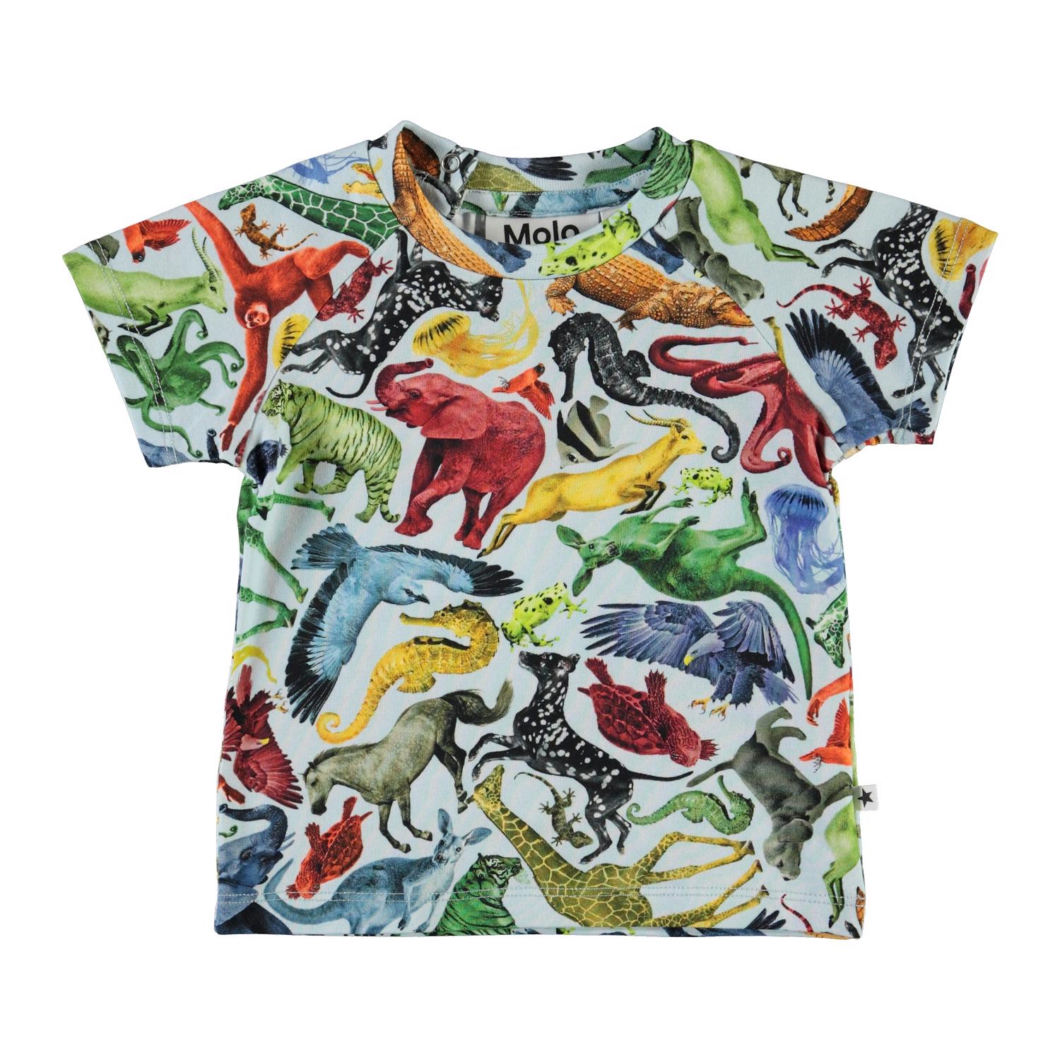 Emmett - Colourful Animals