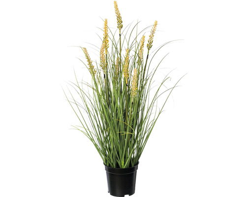 Kunstmatige penisplant in pot, hoogte: 59 cm, groen