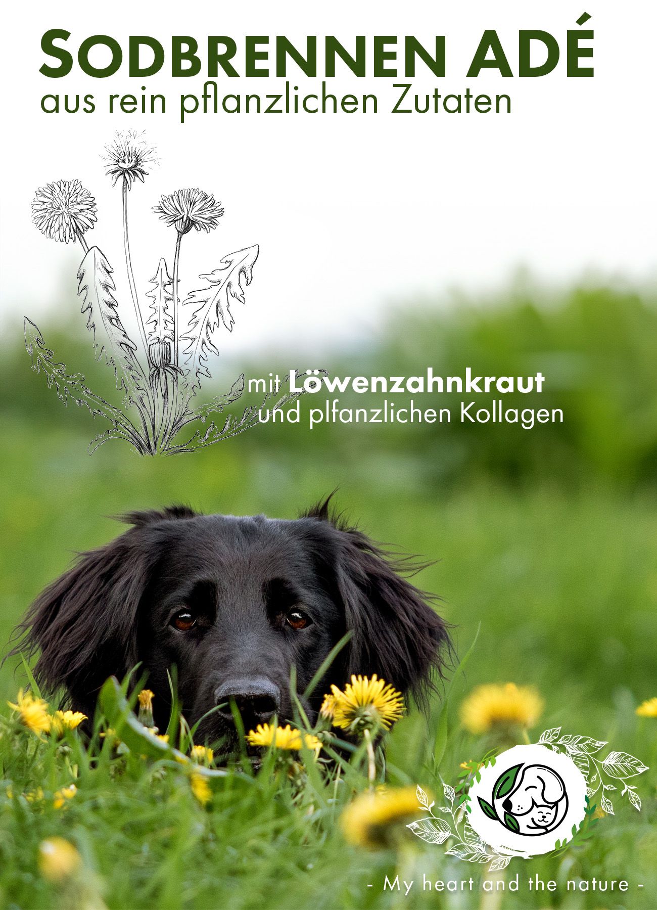Nature Animal®  Gras und Kotfresser Drops