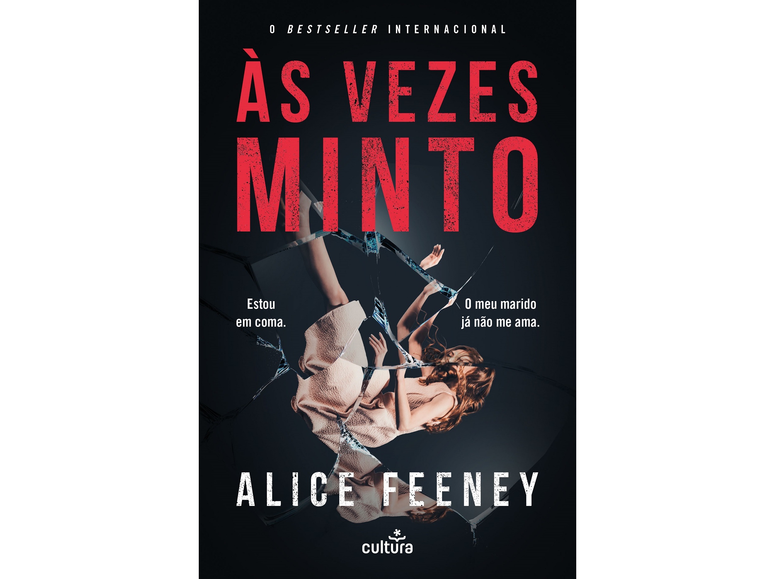 LIVRO ÀS VEZES MINTO DE ALICE FEENEY