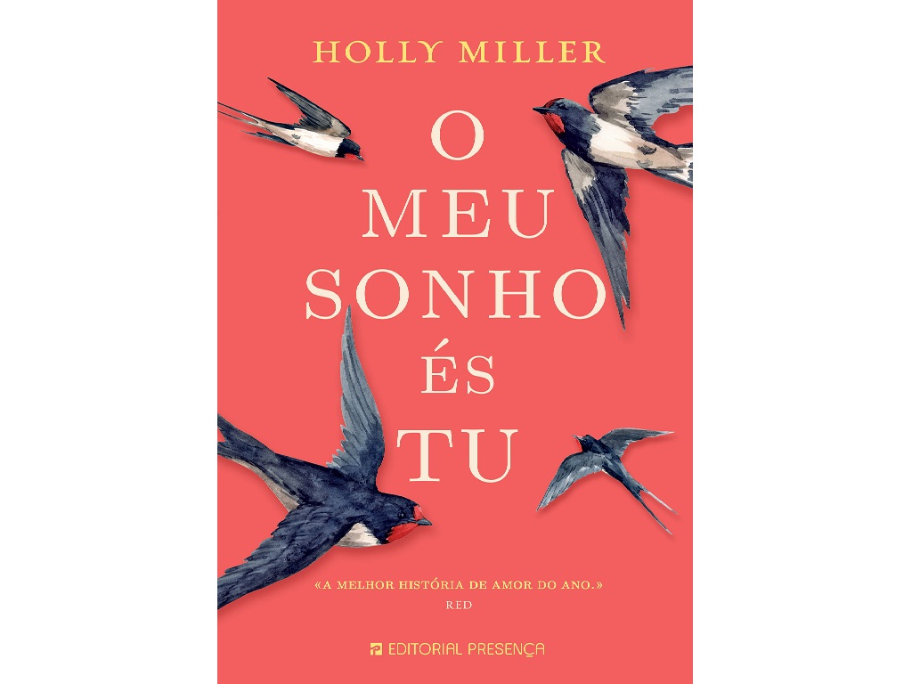 LIVRO O MEU SONHO ÉS TU DE HOLLY MILLER