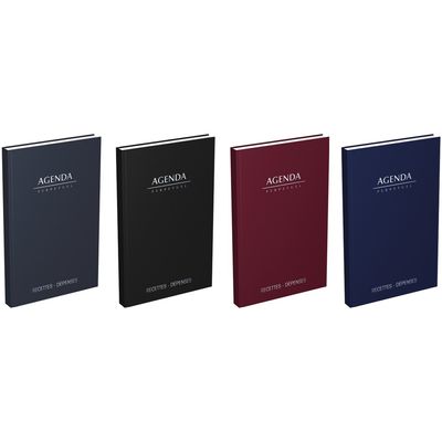 Agenda perpétuel Lecas Recettes-Dépenses - 1 jour par page - 14 x 22 cm - disponible dans différentes couleurs