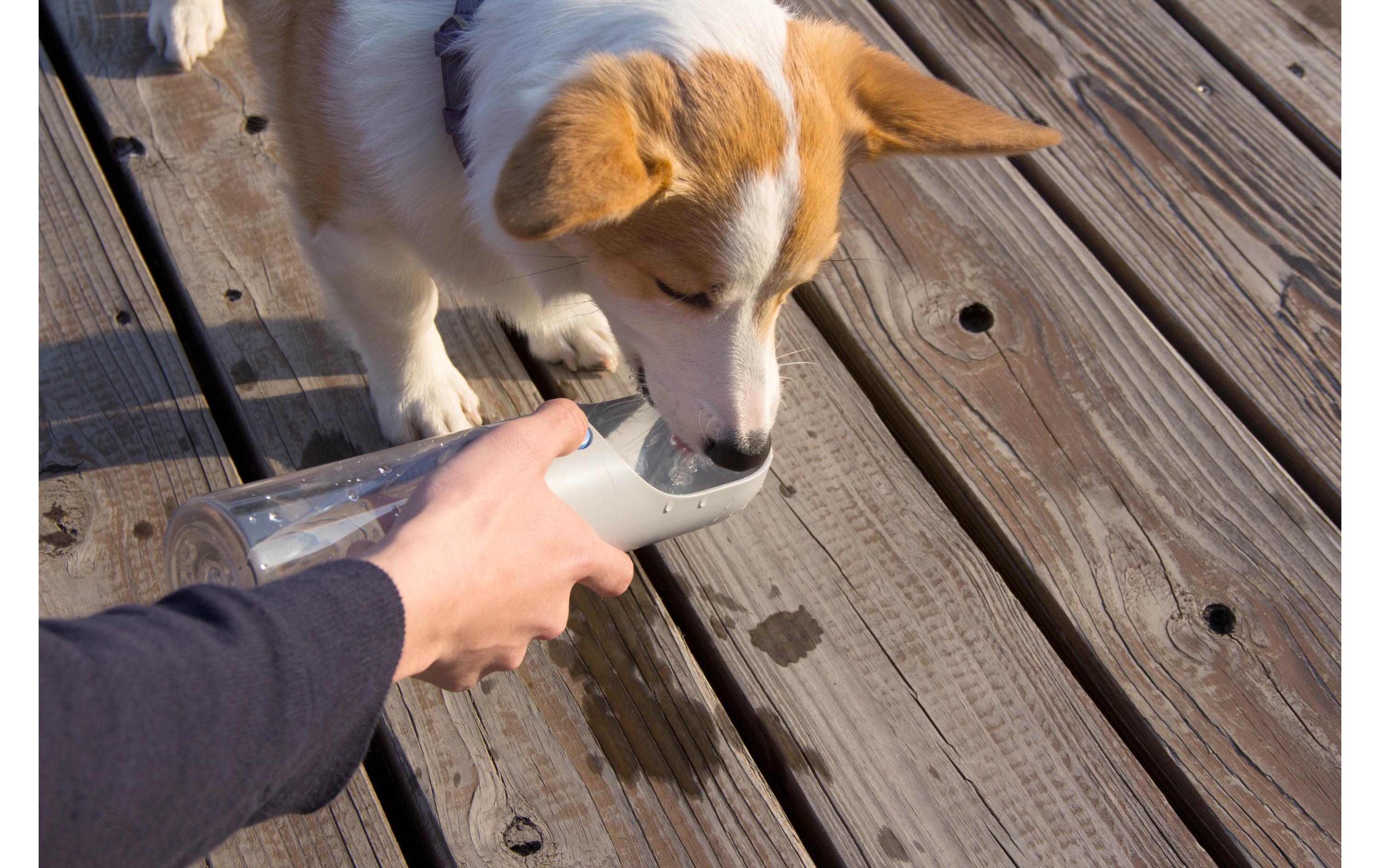 Trinkflasche Eversweet, 400 mlOne-Touch Pet-Flasche