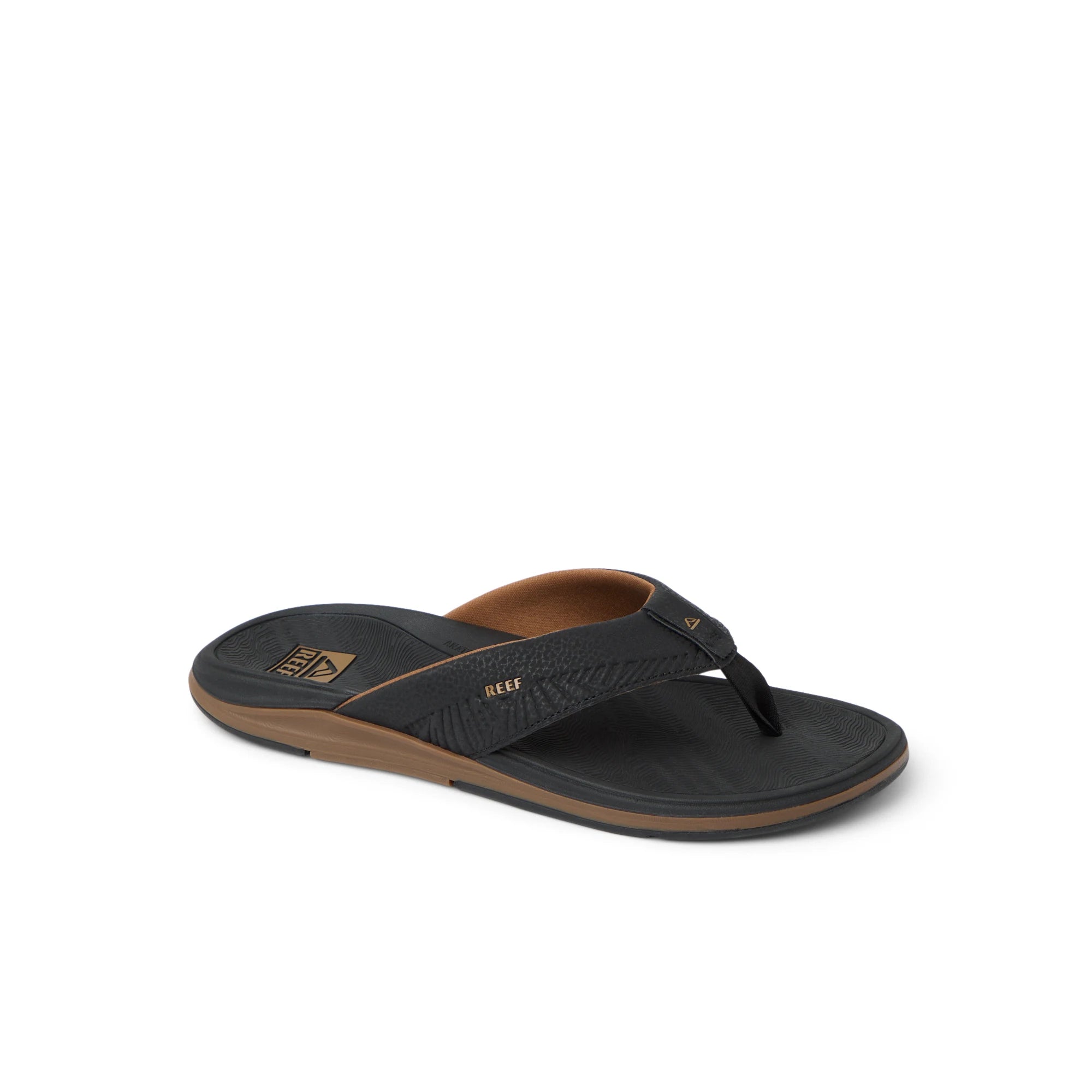 Offshore Black Gum