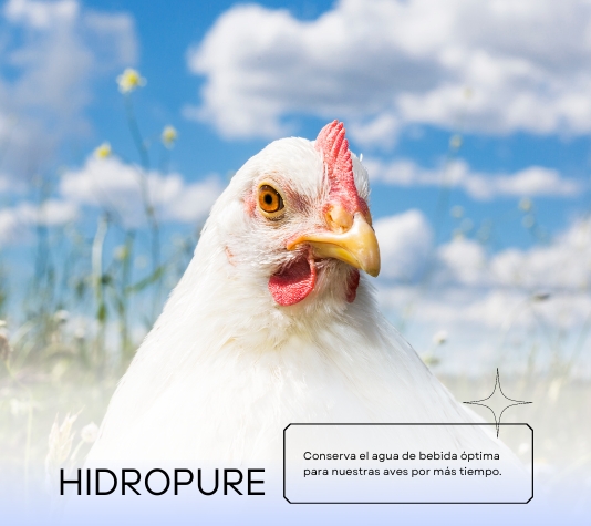 Hidropure - Mantém a água potável dos seus animais limpa - Recipientes para água sempre limpos - 1 L
